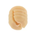 Ronia CN291O10WT Wall Plug